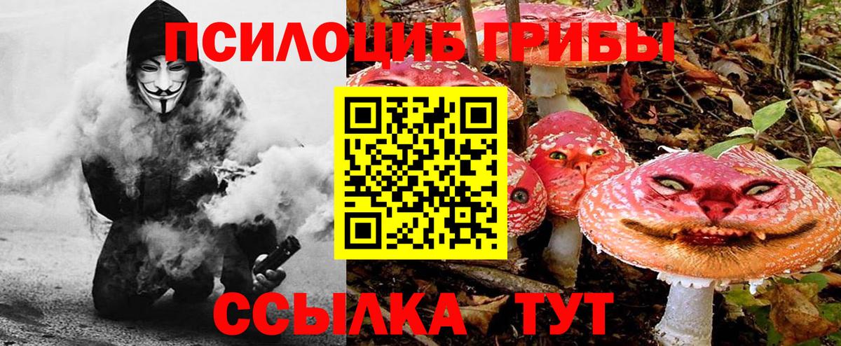 Пятигорск  Галлюциногенные грибы мухоморы  Вход с VPN 