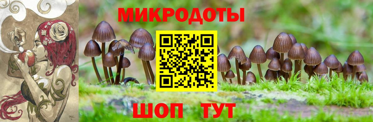 Галлюциногенные грибы Magic Shrooms Пятигорск