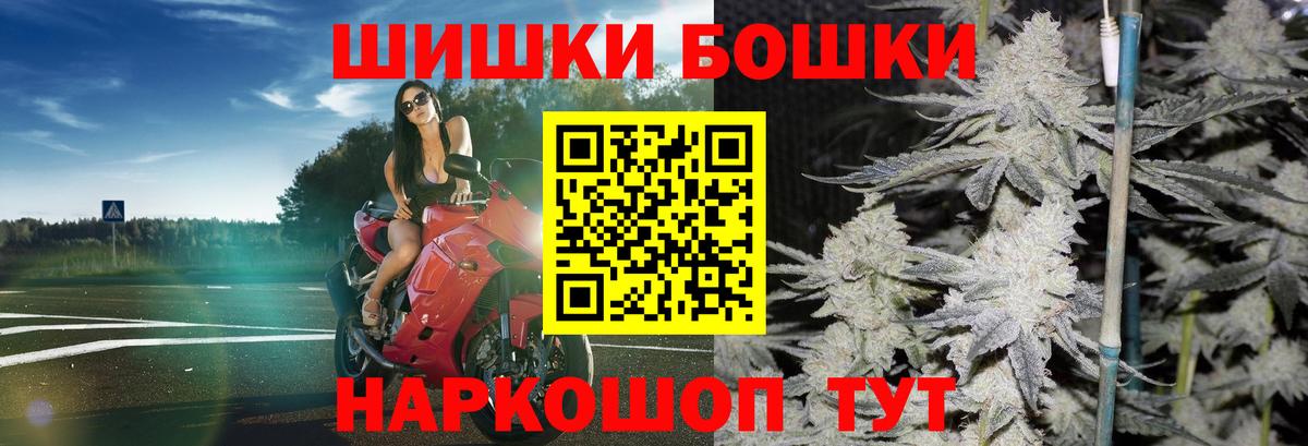 Каннабис план Пятигорск